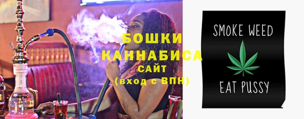 шишки Надым