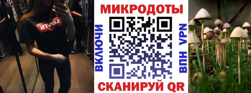 Галлюциногенные грибы Cubensis  Цимлянск 